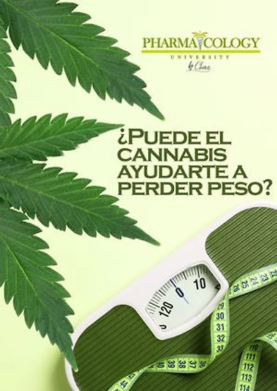 ¿Puede el cannabis ayudarte a perder peso?