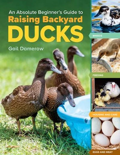 An Absolute Beginner's Guide to Raising Backyard Ducks: Breeds, Feeding, Housing and Care, Eggs Meat