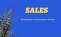 Sales: for Beginners, New business owners