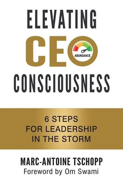 Elevating CEO Consciousness: 6 Steps for Leadership the Storm