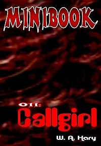 MINIBOOK 011: Callgirl: „Sheila, die Agentin mit Herz und Pistole!“