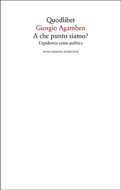 A che punto siamo?: L'epidemia come politica. Nuova edizione accresciuta