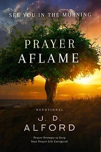 Prayer Aflame: Prayer Prompts to Keep Your Prayer Life Energized: See You in the Morning, #1