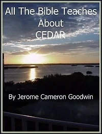 CEDAR: An Exhaustive Study On This Subject