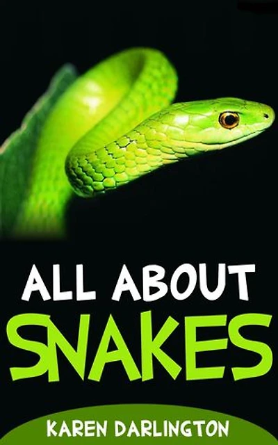 All About Snakes: All About Everything, #3