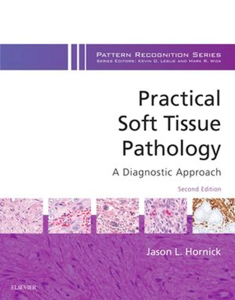 Practical Soft Tissue Pathology: A Diagnostic Approach E-Book: Volume the Pattern Recognition Series