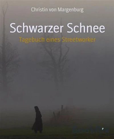 Schwarzer Schnee: Tagebuch eines Streetworker