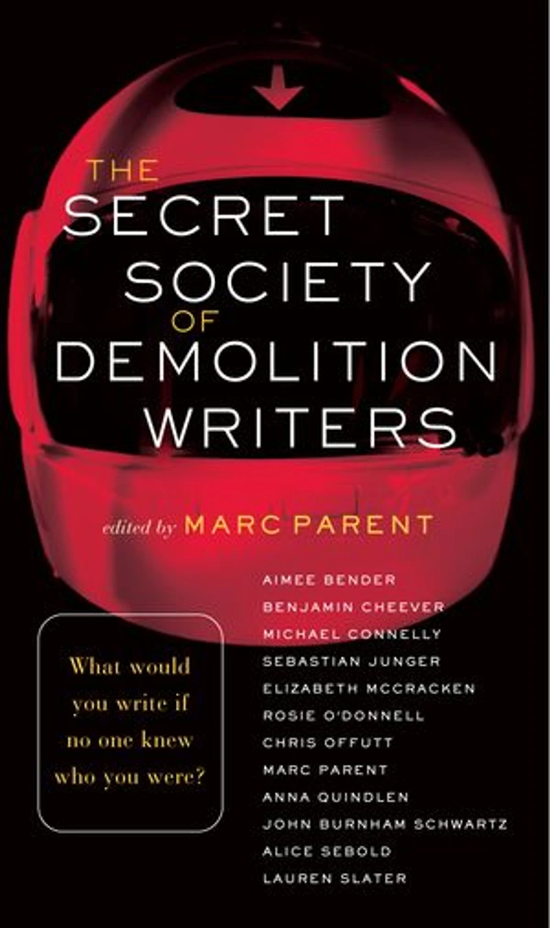 The Secret Society of Demolition Writers: Stories