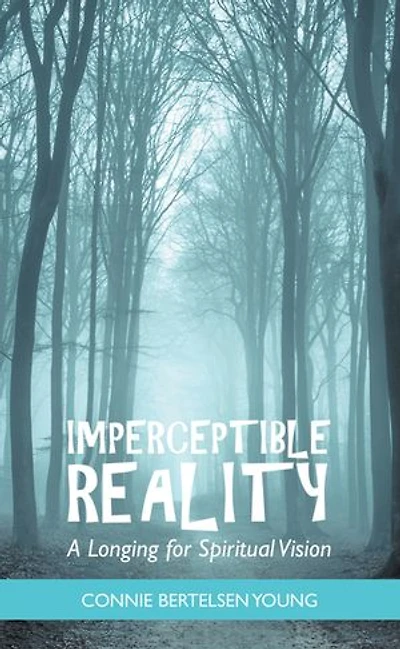 Imperceptible Reality: A Longing for Spiritual Vision