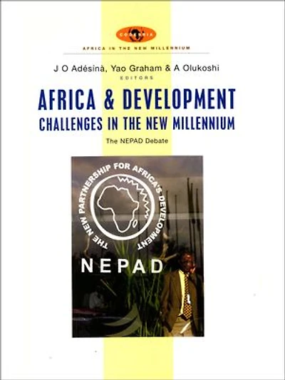 Africa and development challenges in the new millennium