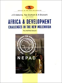 Africa and development challenges in the new millennium