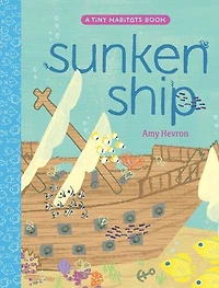 Sunken Ship
