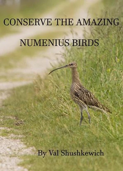 Conserve the Amazing Numenius Birds