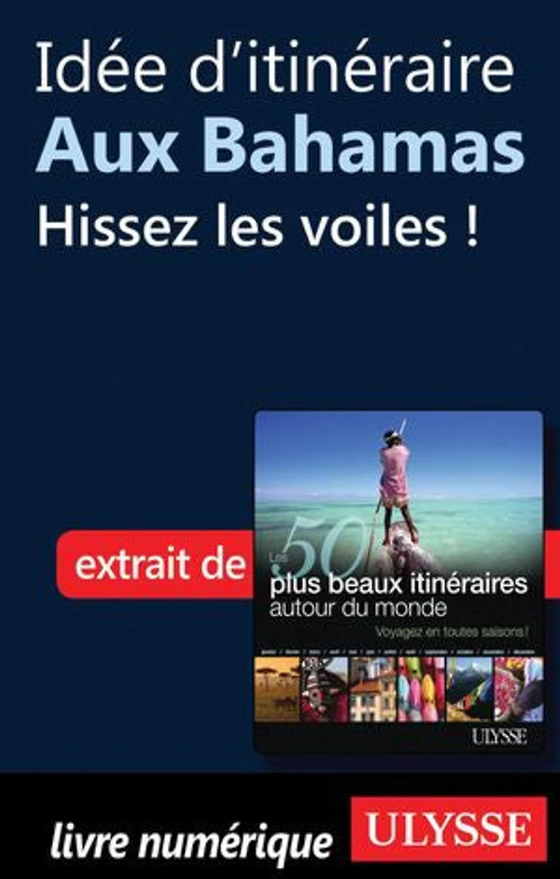 50 PLUS BEAUX ITINÉRAIRES AUTOUR DU MONDE (LES)