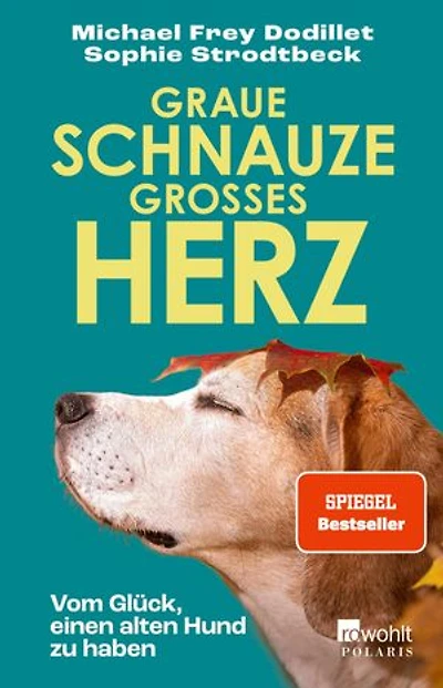 Graue Schnauze, großes Herz: Vom Glück, einen alten Hund zu haben
