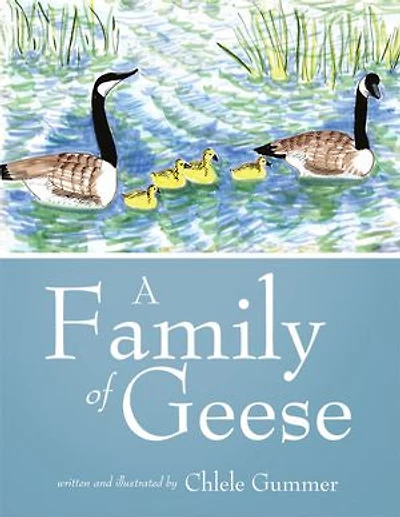 A Family Of Geese