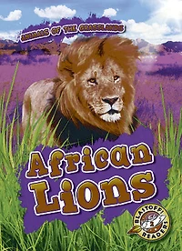 African Lions