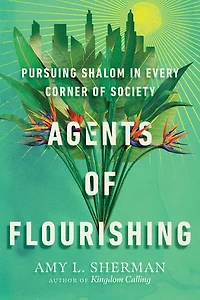 Agents of Flourishing: Pursuing Shalom Every Corner Society