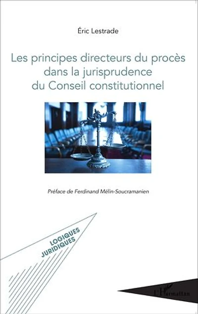 Les principes directeurs du procès dans la jurisprudence du Conseil constitutionnel