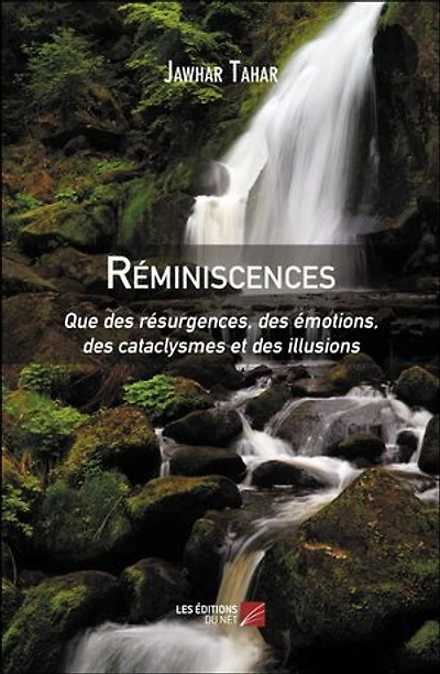 Réminiscences: Que des résurgences, des émotions, des cataclysmes et des illusions