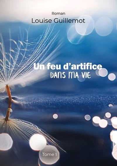Un feu d'artifice dans ma vie: Tome 1 - Foncer ou s'enfoncer