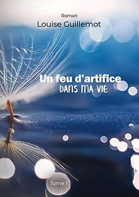 Un feu d'artifice dans ma vie: Tome 1 - Foncer ou s'enfoncer