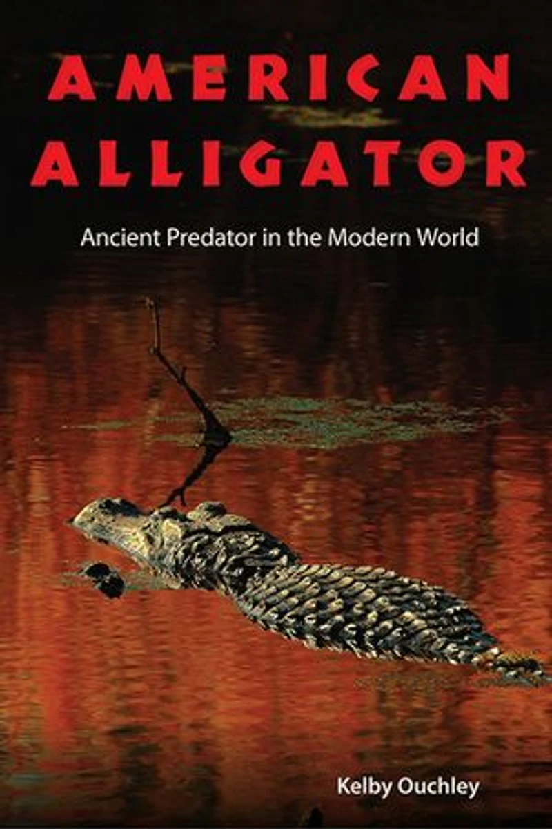 American Alligator: Ancient Predator The Modern World