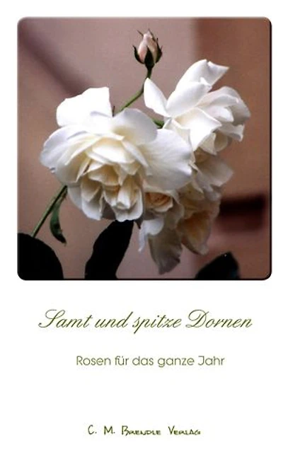 Samt und spitze Dornen: Rosen für das ganze Jahr
