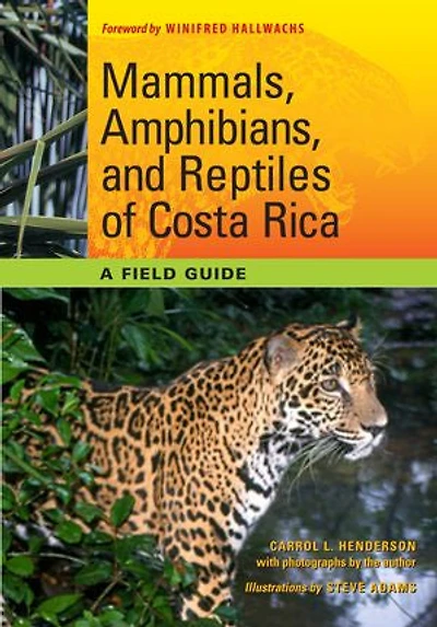 Mammals, Amphibians, and Reptiles of Costa Rica: A Field Guide