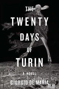 The Twenty Days of Turin: A Novel
