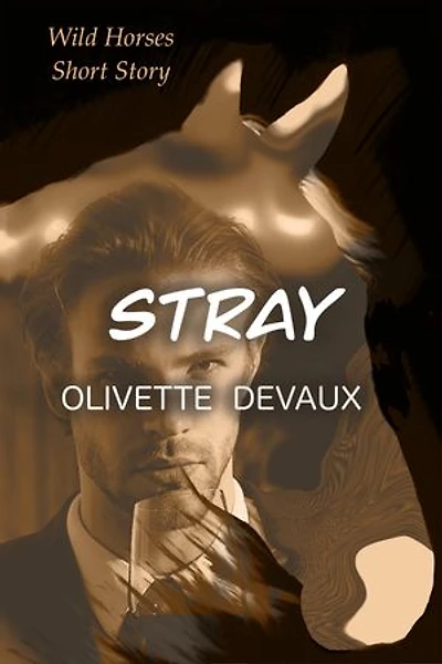 Stray: Wild Horses Short Story