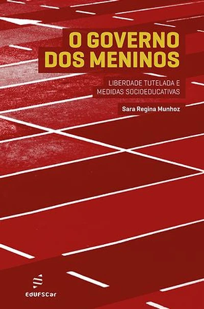 O governo dos meninos: liberdade tutelada e medidas socioeducativas