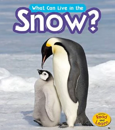 What Can Live in the Snow?