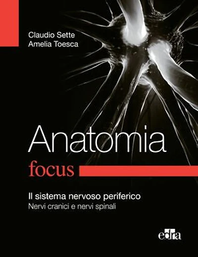 Anatomia Focus: Il sistema nervoso periferico - Nervi cranici e nervi spinali