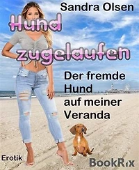 Hund zugelaufen: Der fremde Hund auf meiner Veranda