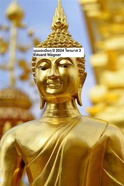 มุมมองอื่นๆ ปี 2024 ไตรมาส 3