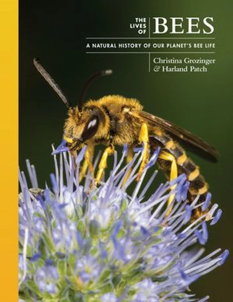 The Lives of Bees: A Natural History Our Planet's Bee Life