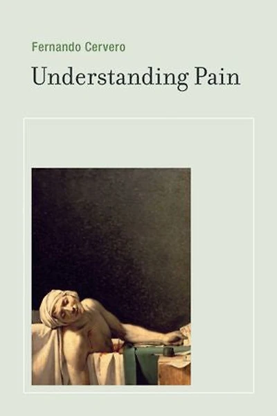 Understanding Pain: Exploring The Perception Of Pain