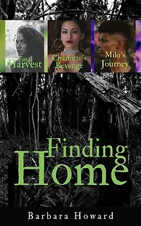 Finding Home Mystery Series 3-Book Set