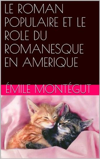 LE ROMAN POPULAIRE ET LE ROLE DU ROMANESQUE EN AMERIQUE