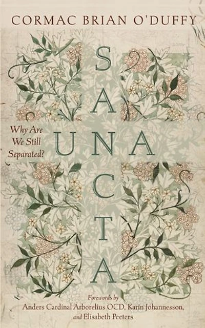 Una Sancta: Why Are We Still Separated?