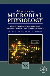 Advances Bacterial Electron Transport Systems and Their Regulation