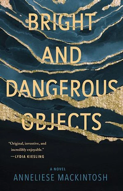Bright and Dangerous Objects: A Novel