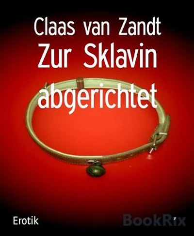 Zur Sklavin abgerichtet: BDSM-Kurzgeschichten