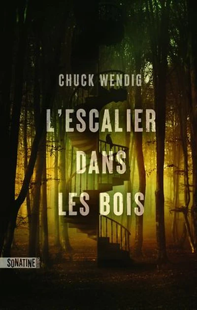 L' escalier dans les bois
