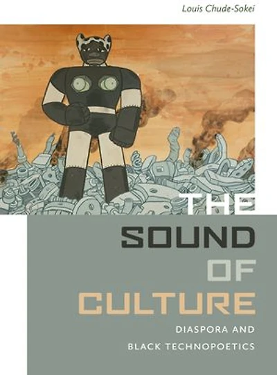 The Sound of Culture: Diaspora and Black Technopoetics