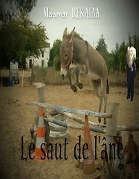 Le saut de l'ane