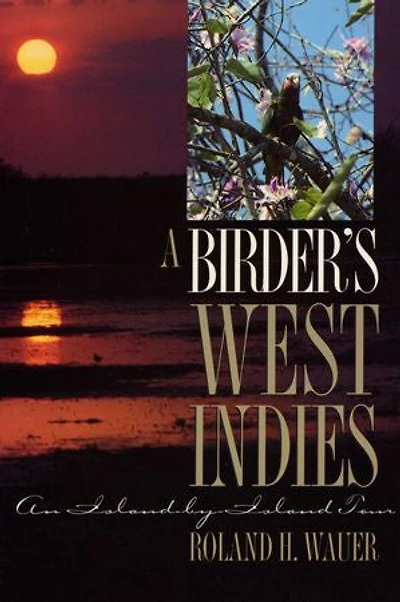 A Birder’s West Indies: An Island-by-Island Tour