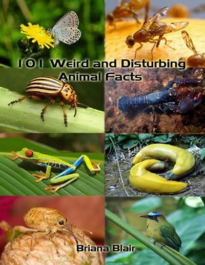 101 Weird and Disturbing Animal Facts
