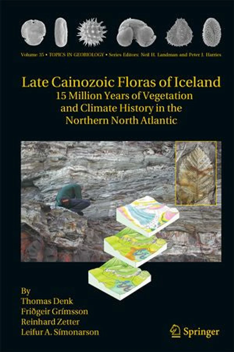 Late Cainozoic Floras Of Iceland: 15 Million Years Vegetation And Climate History The Northern North Atlantic